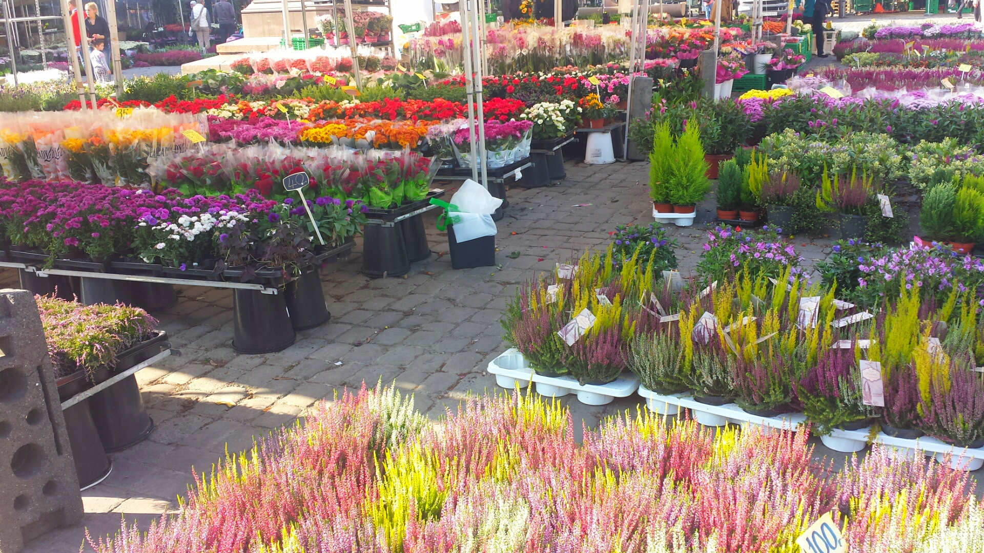 Colourful_Flower_Markets_Oslo_Norway