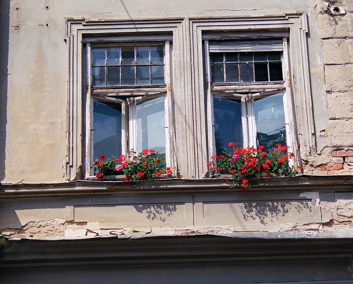 European_Window_Flowers