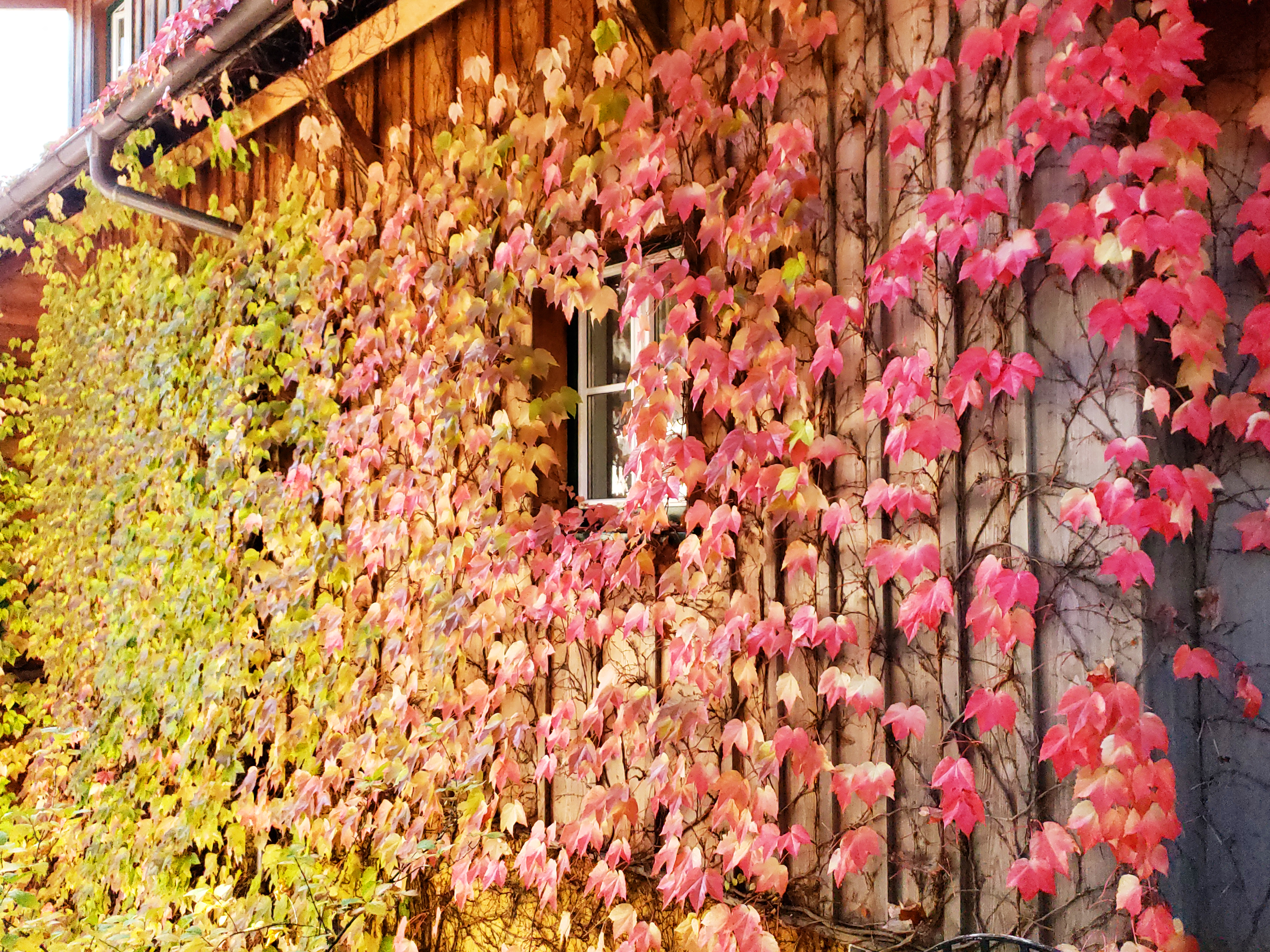 A Day Trip To Hallstatt, Austria - A Complete Guide