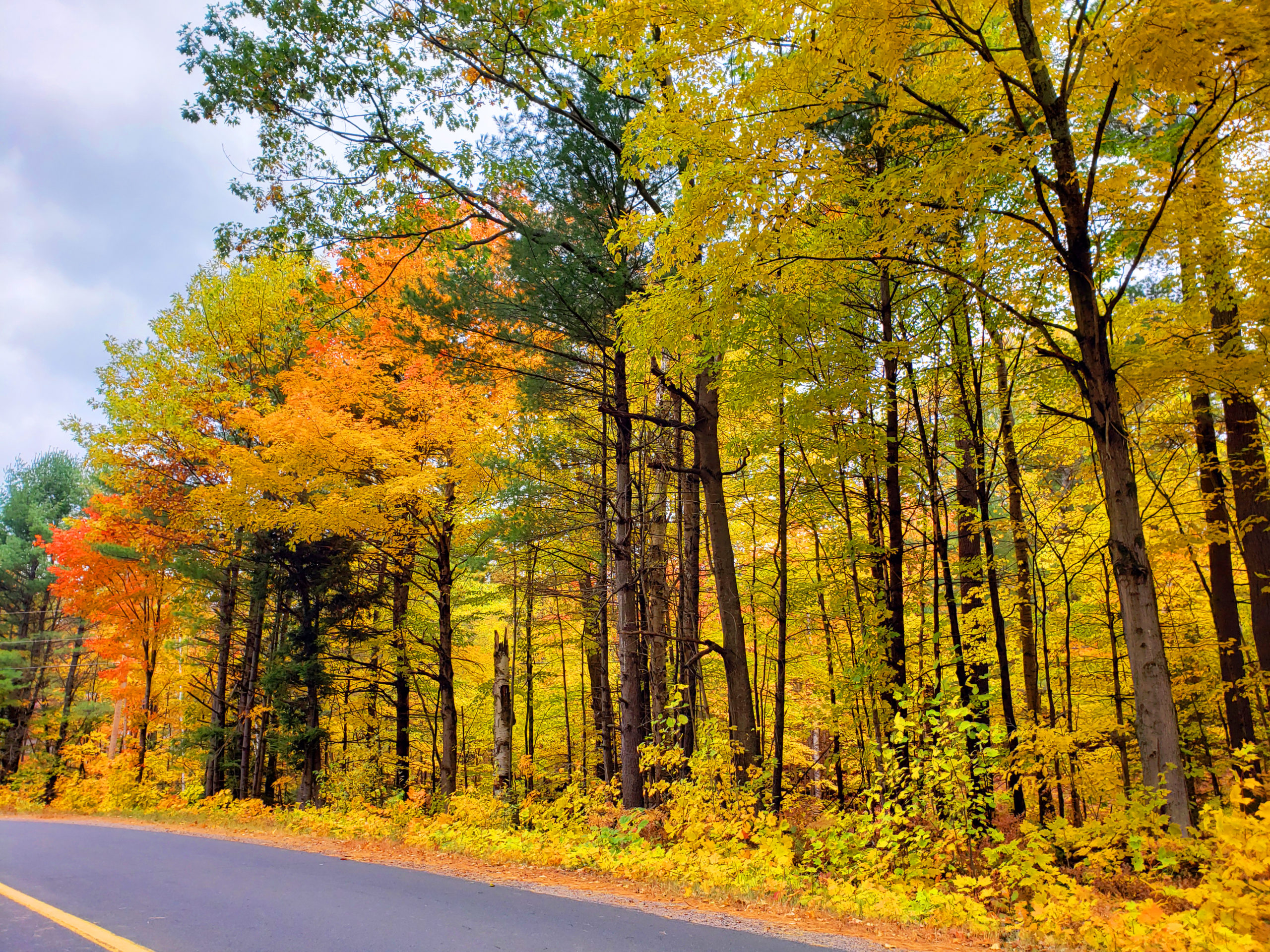 25 Photos Proving That Ontario, Canada Is The Best Place To View Autumn Leaves