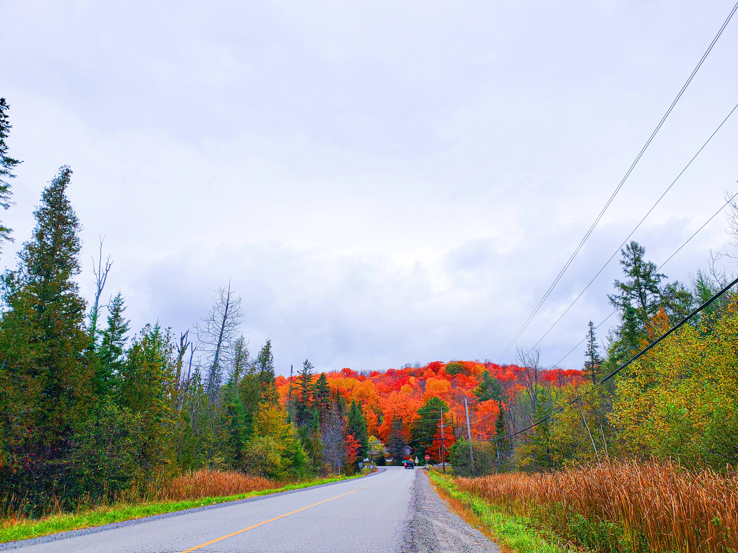 25 Photos Proving That Ontario, Canada Is The Best Place To View Autumn Leaves