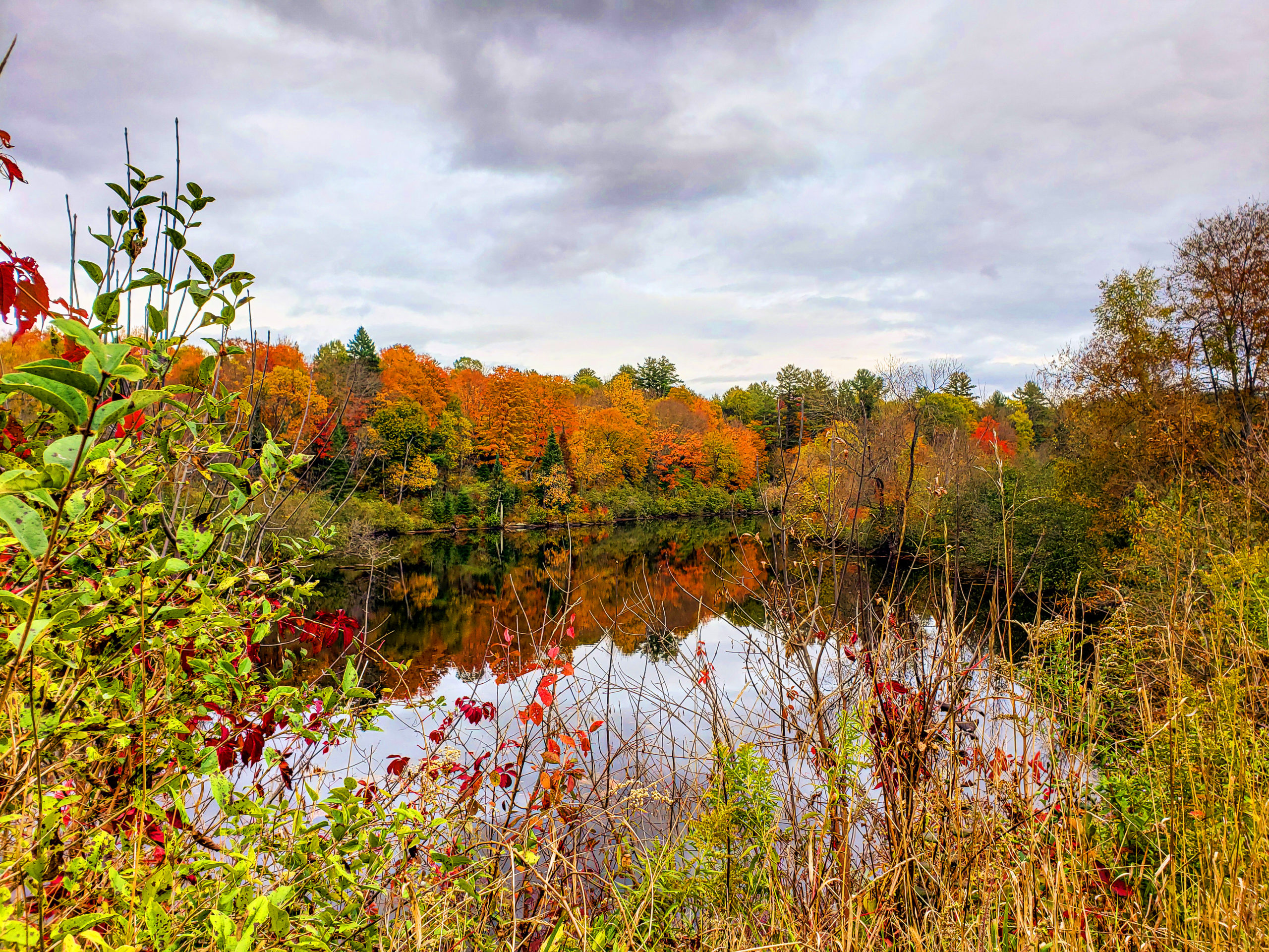 25 Photos Proving That Ontario, Canada Is The Best Place To View Autumn Leaves