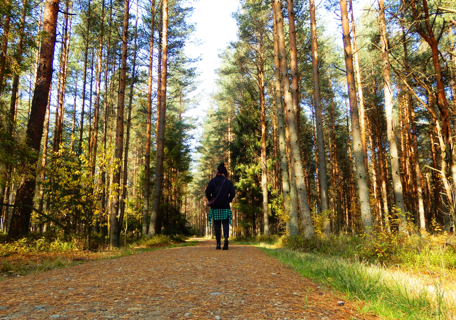 Places In Poland To Visit For Nature Lovers - Where in the World is Tosh