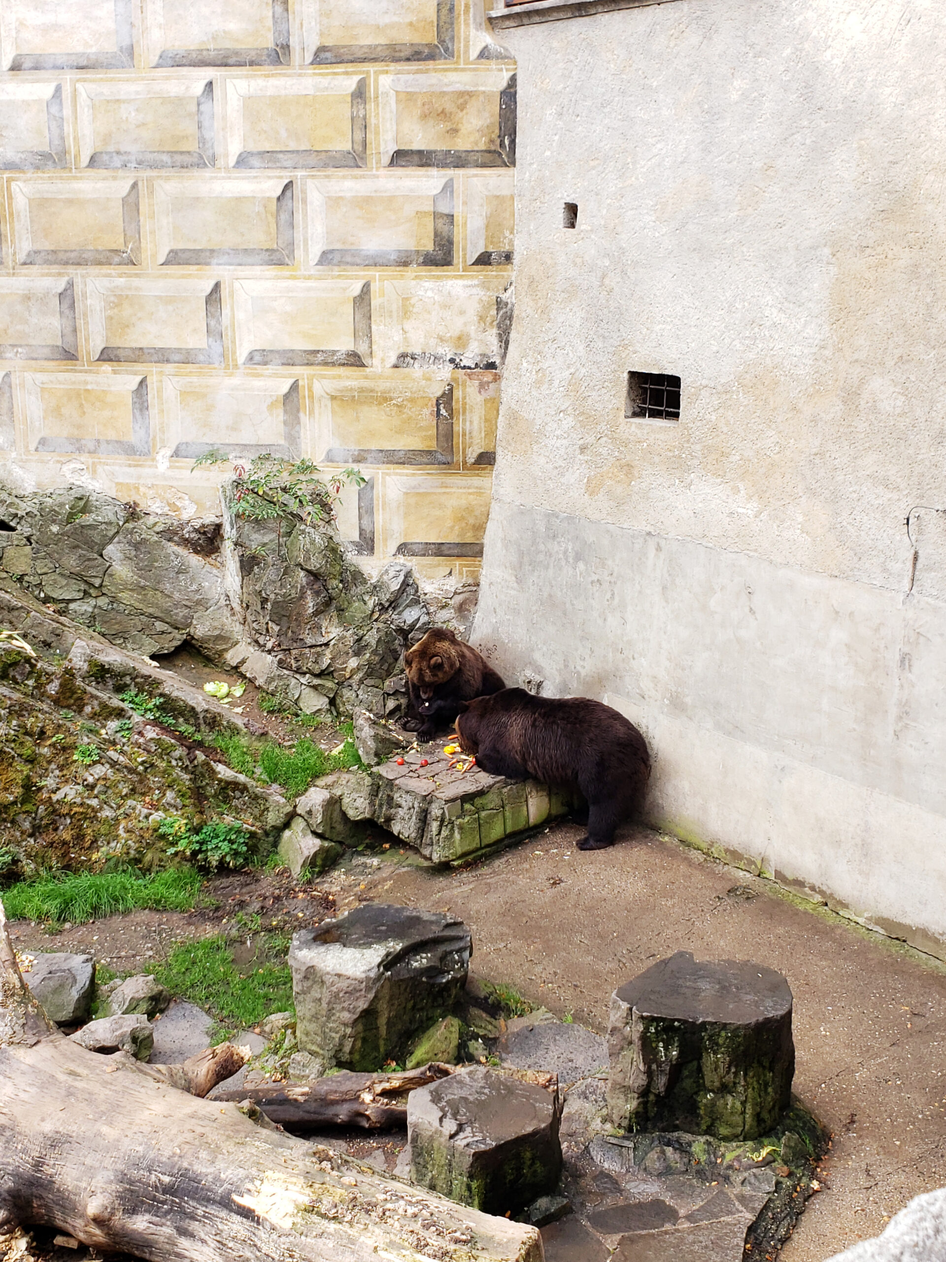 A Day Trip To Český Krumlov